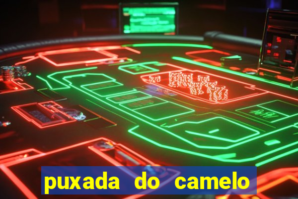 puxada do camelo no jogo do bicho